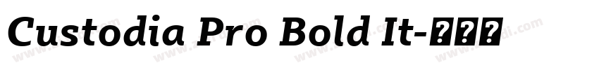 Custodia Pro Bold It字体转换